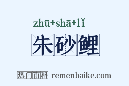 朱砂鲤是什么意思的图片